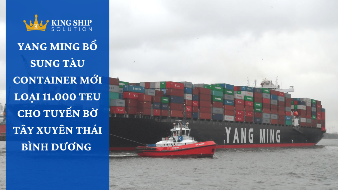 Yang Ming bổ sung tàu container mới loại 11.000 TEU cho tuyến Bờ Tây xuyên Thái Bình Dương