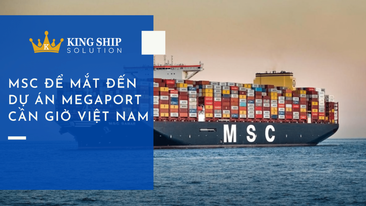 MSC để mắt đến dự án megaport tại Cần Giờ Việt Nam