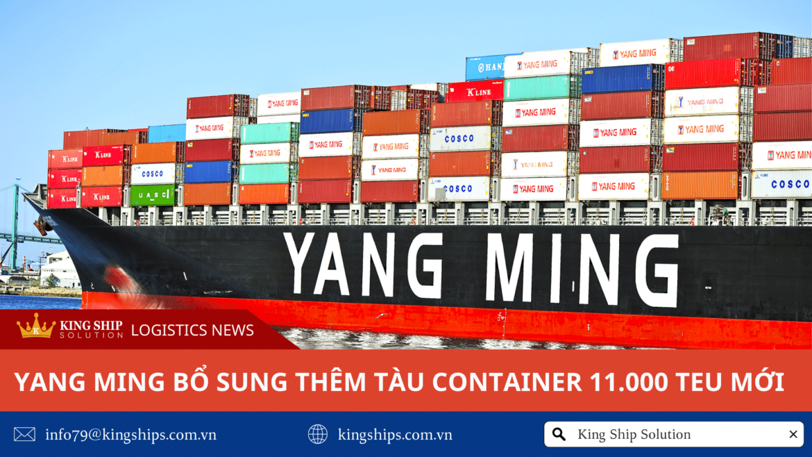 Yang Ming bổ sung thêm tàu container 11.000 TEU mới