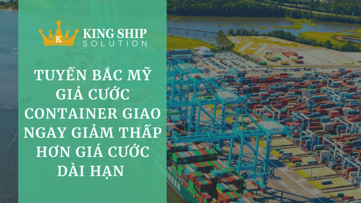 Tuyến Bắc Mỹ giá cước container giao ngay giảm thấp hơn giá cước dài hạn