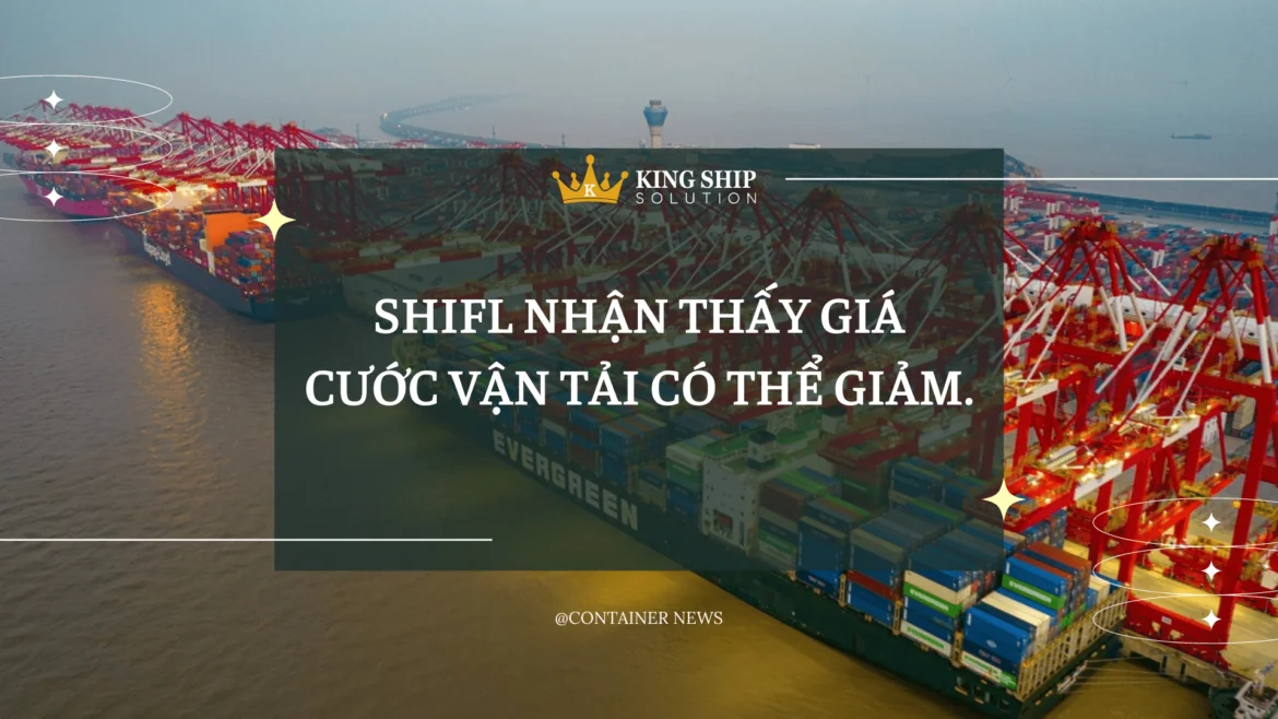 Shifl nhận thấy giá cước vận tải biển có thể giảm.