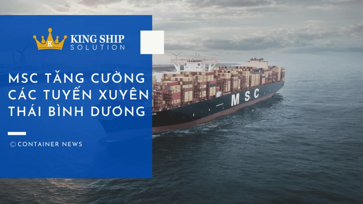 MSC tăng cường các tuyến xuyên Thái Bình Dương