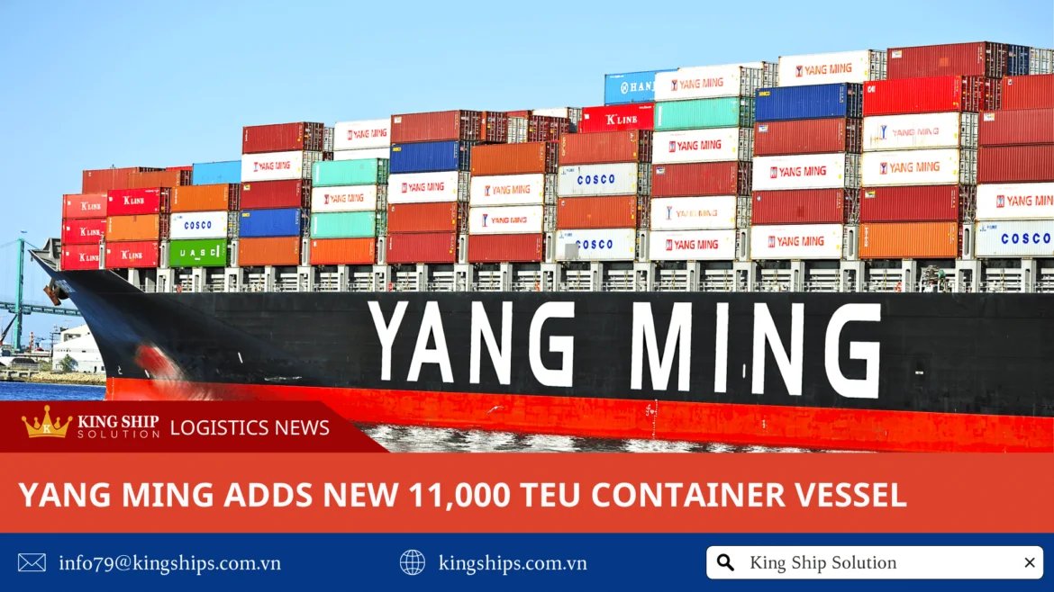 Yang Ming adds new 11,000 TEU container vessel