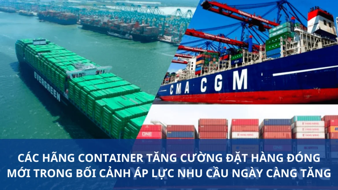 Các hãng container tăng cường đặt hàng đóng mới trong bối cảnh áp lực nhu cầu ngày càng tăng